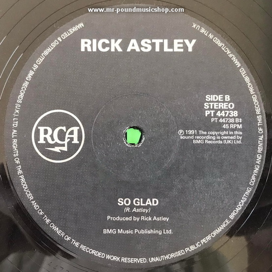 Rick Astley - Never Knew Love