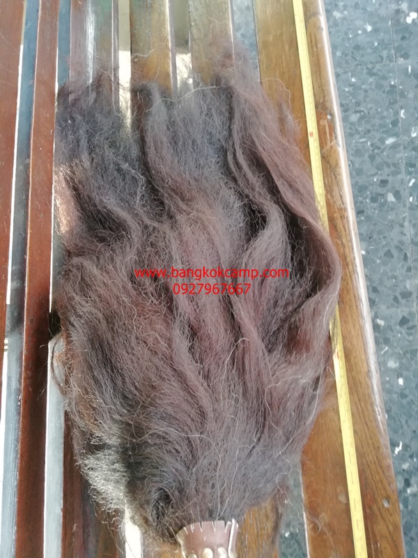 แส้ขนจามรีแท้ ด้ามหนัง​ ใหม่เก่าเก็บ ไม่ผ่านการใช้ (2) ขนสีดำ หายาก