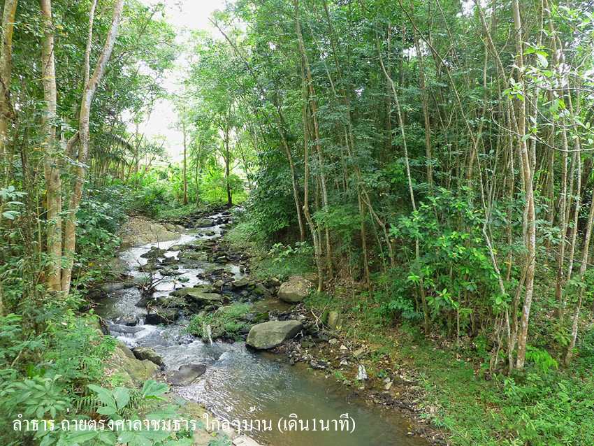 ขาย / ให้เช่า Brookside Valley 6000/ ต่อคืน ขาย 4.6 ล้าน บ้านเดี่ยว 2 ชั้น เนื้อที่ 220 ตรว. 2 ห้องนอน 2 ห้องน้ำ