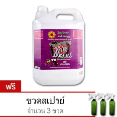 [ ไล่และป้องกันมด แมลงสาป ] สเปรย์กำจัดมด/แมลงสาบ Sunflower and Doogy (1ลิตร) ฟรีขวดสเปรย์เปล่าจำนวน 3 ขวด (5ลิตร)