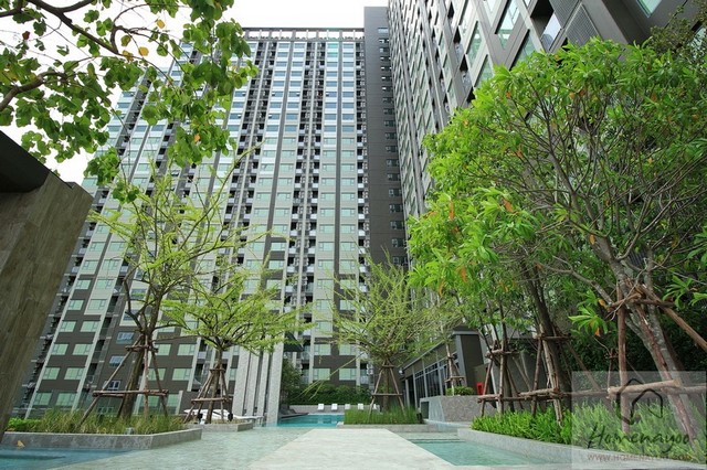 ขาย / เช่าคอนโด Aspire Sathorn - Ratchaphruek (แอสปาย สาทร-ราชพฤกษ์ 2 ยูนิตวิวสุดสวย เพียง 2.50 ล้านบาท ขายและให้เช่า