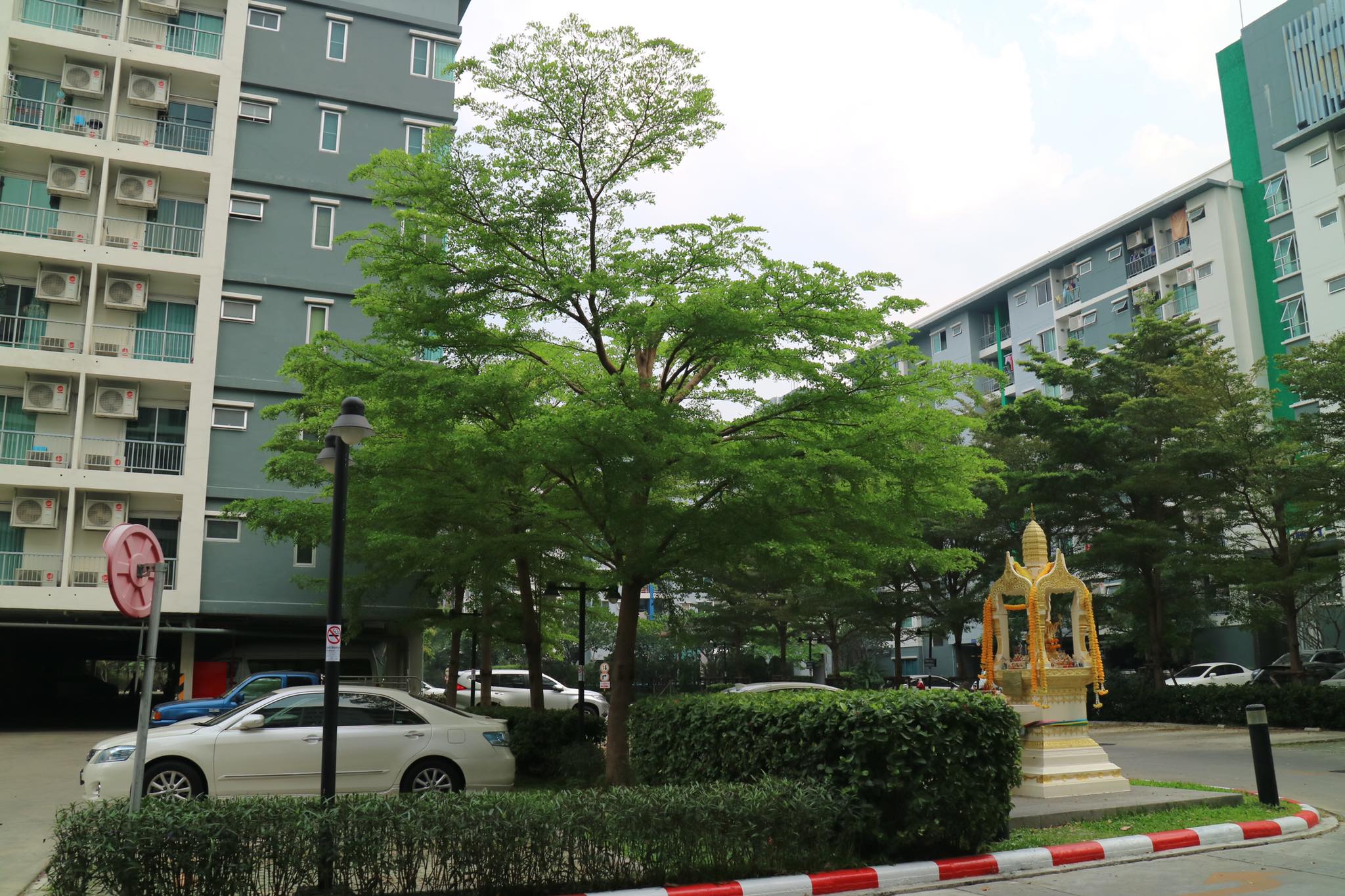 ขายคอนโด Supalai City Resort Ratchada - Huaykwang (ศุภาลัย ซิตี้ รีสอร์ท-รัชดาห้วยขวาง ) 2 ห้องนอน 1 ห้องน้ำ 1 ห้องครัว