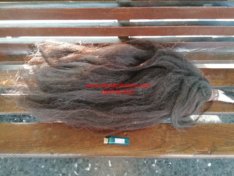 แส้ขนจามรีแท้ ด้ามหนัง​ ใหม่เก่าเก็บ ไม่ผ่านการใช้ (2) ขนสีดำ หายาก