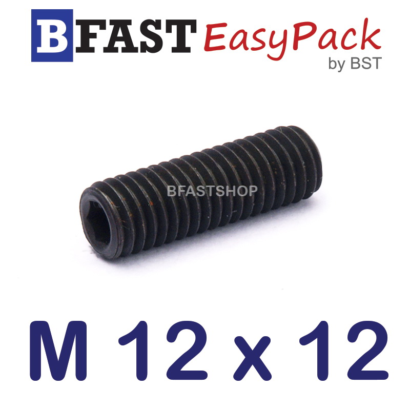 สกรูตัวหนอนดำ M 12 x 12 (2 ตัว/ถุง)