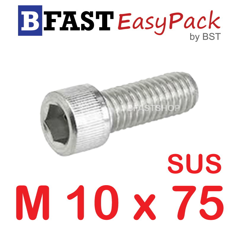 สกรูหัวจมสแตนเลส SUS M 10 x 75 (1 ตัว/ถุง)