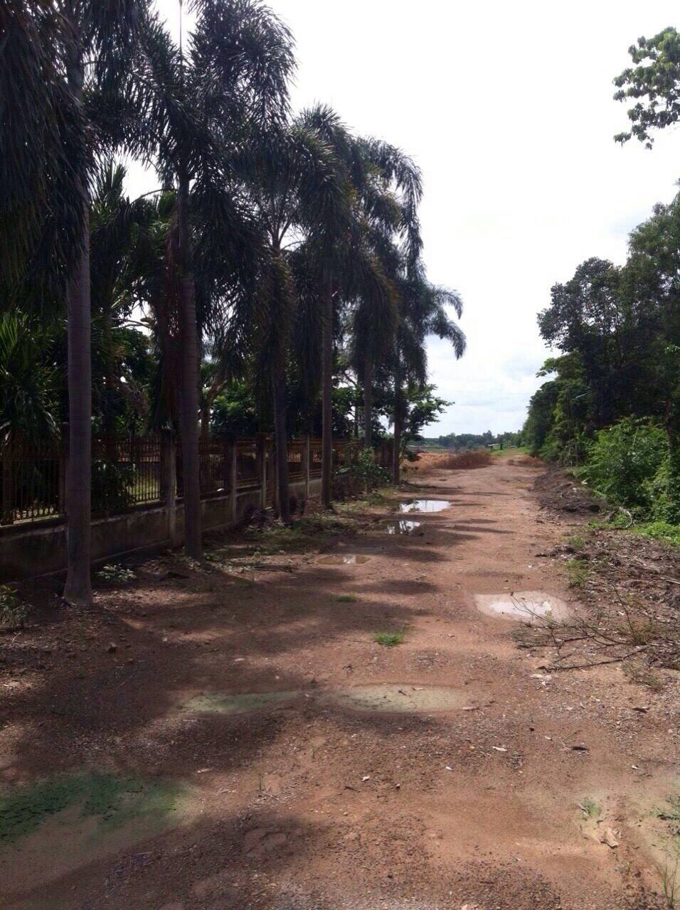 ขายที่ดินพร้อมสิ่งปลูกสร้างพื้นที่ 96 ไร่เศษ ติดถนนเลียบคลอง12 รังสิต-นครนายก