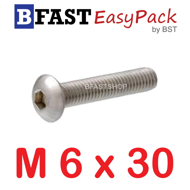 สกรูหัวจมกลมสแตนเลส SUS M6 x 30 ( 4 ตัว/ถุง )