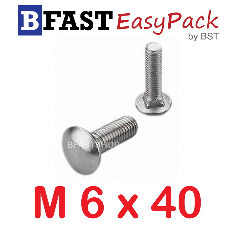 สกรูหัวกลมคอเหลี่ยมสแตนเลส M6 x 40 (4 ตัว/ถุง)