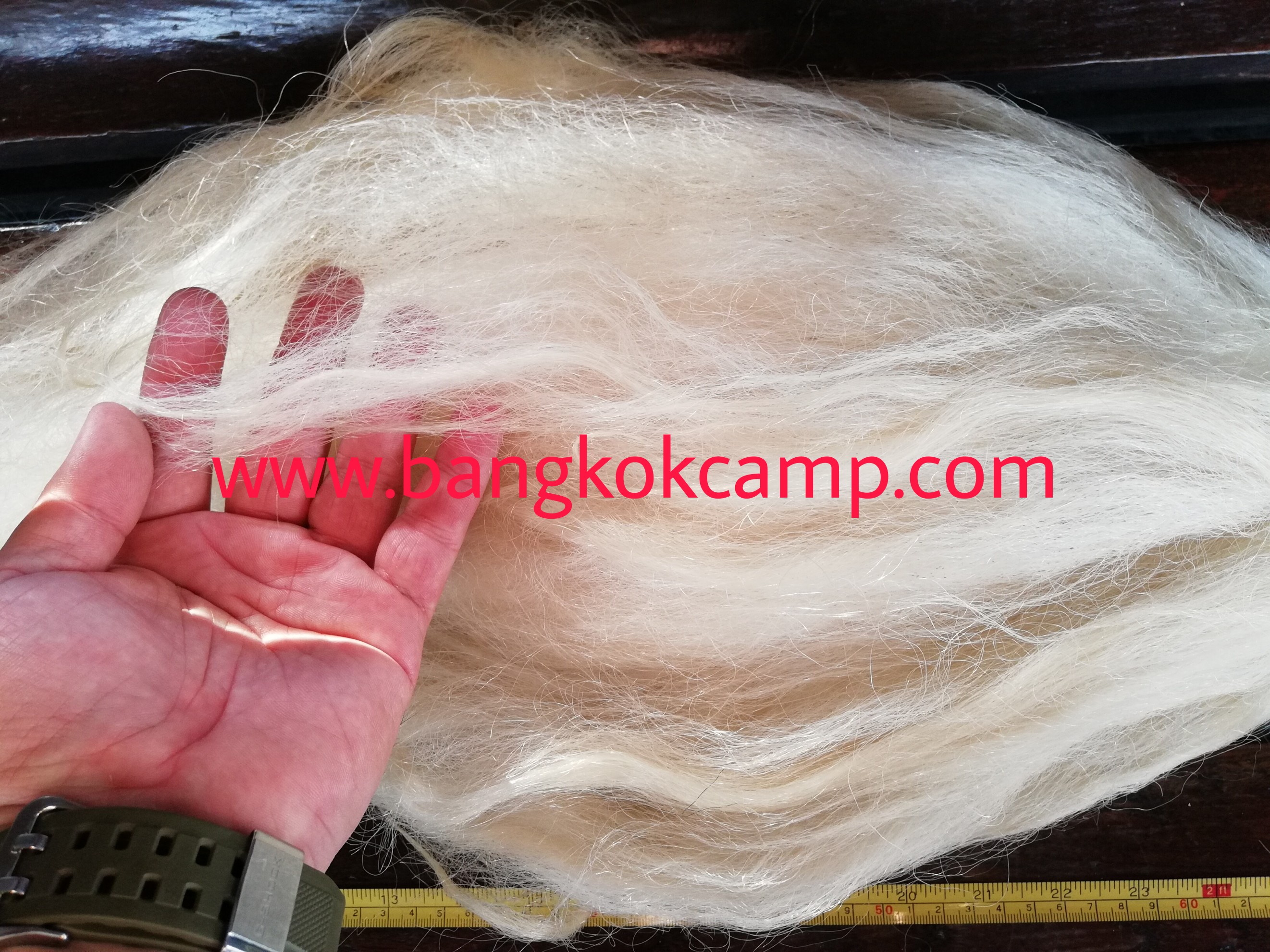 แส้ขนจามรีแท้ ด้ามหนัง​ ใหม่เก่าเก็บ ไม่ผ่านการใช้ (1) ขนสีขาว หายาก