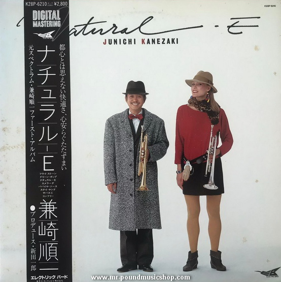 Junichi Kanezaki (兼崎順) - Natural-E