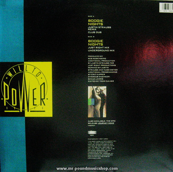 Will To Power - Boogie Night