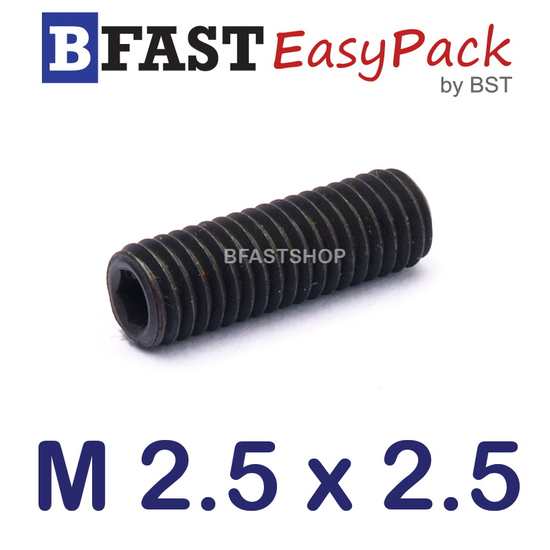 สกรูตัวหนอนดำ M 2.5 x 2.5 (5 ตัว/ถุง)