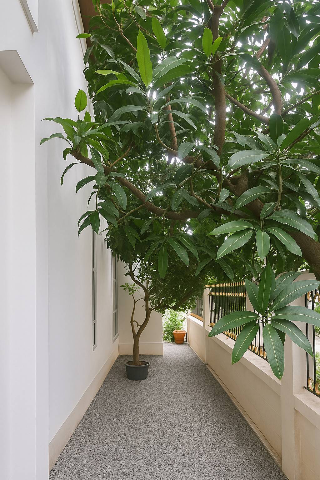 ขายบ้านเดี่ยว 2 ชั้น หมู่บ้านแมกไม้ ออเงิน สุขาภิบาล 5 (ซอย เพิ่มสิน 2 ) ราคา 5 ล้าน 3 ห้องนอน 2 ห้องน้ำ 1 ห้องแม่บ้าน ห้องน้ำในตัว