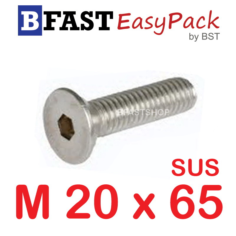 สกรูหัวจมเตเปอร์สแตนเลส SUS M20 x 65 (1 ตัว/ถุง)