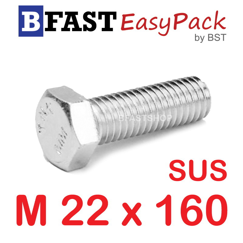 สกรูหัวเหลี่ยมสแตนเลส M22 x 160