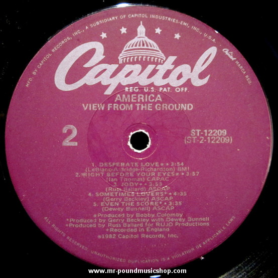 America - View From The Ground