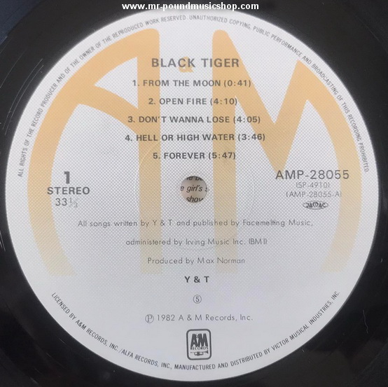 Y&T - Black Tiger