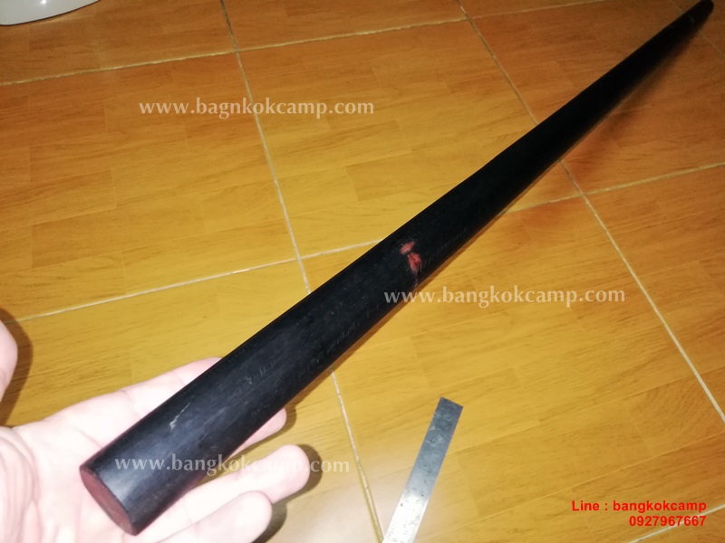 ไม้มงคลหายาก... ไม้พลอง (ไม้งิ้วดำ)