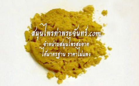 ว่านนางคำผง