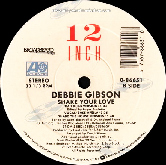 Debbie Gibson - Shake Your Love