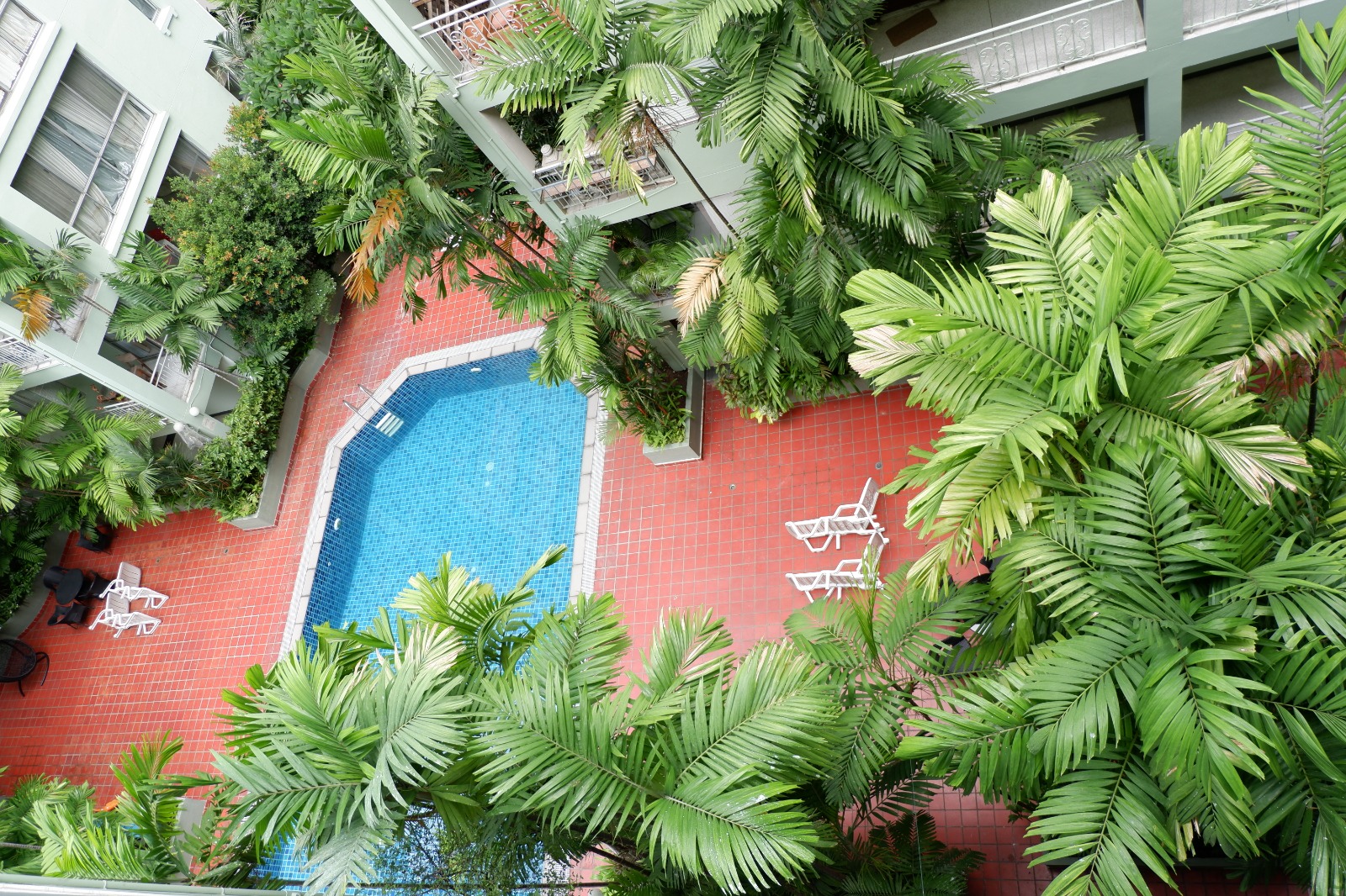 ให้เช่าคอนโด Raintree Villa (เรนทรี วิลล่า) 2 ห้องนอน 1 ห้องน้ำ ขนาด 75 ตรม ชั้น 4 อาคาร A ห้องมุม