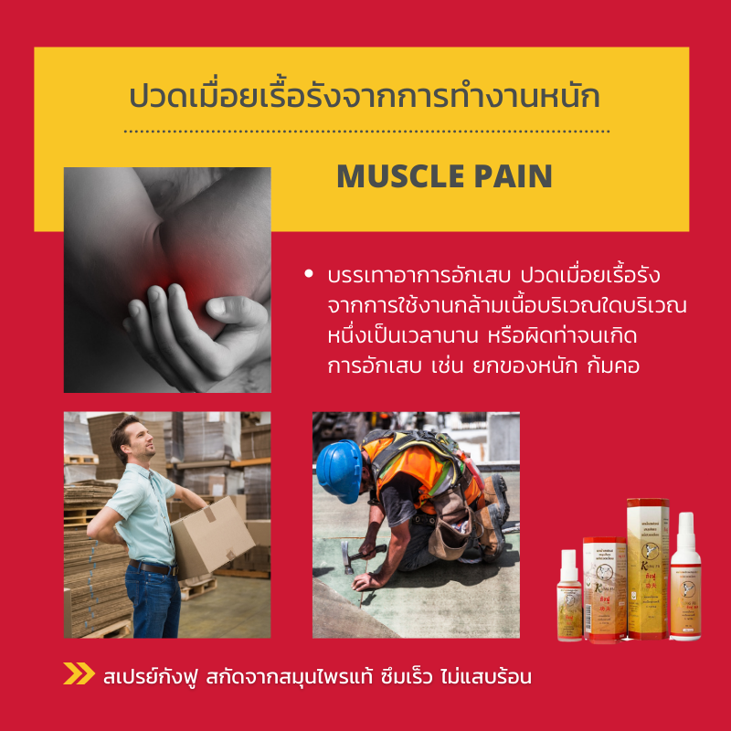 ยาน้ำสเปรย์สมุนไพรแก้ปวดเมื่อยกังฟู ขนาด 30 มล.