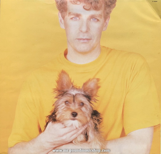 Pet Shop Boys - Introspective