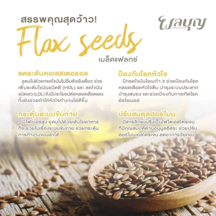 อิ่มเอม เมล็ดแฟลกซ์อบ ชนิดป่น และเมล็ด 100 กรัม Roasted Flaxseeds