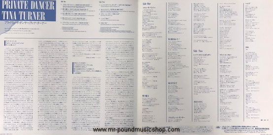 Tina Turner - Private Dancer