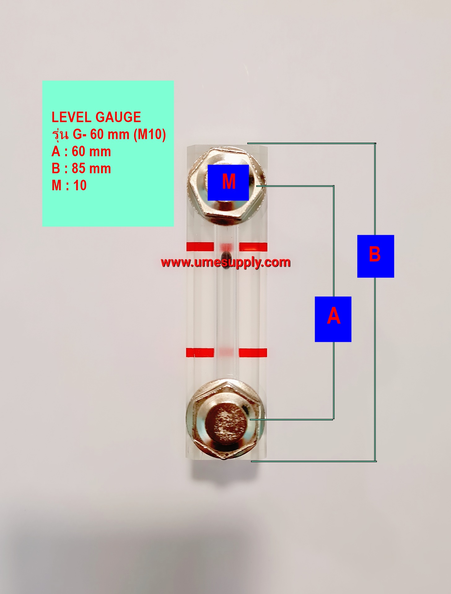 เกจวัดระดับน้ำมัน ( LEVEL GAUGE ) Model : G-60 ( M10 ) (Screw AirCompressor)