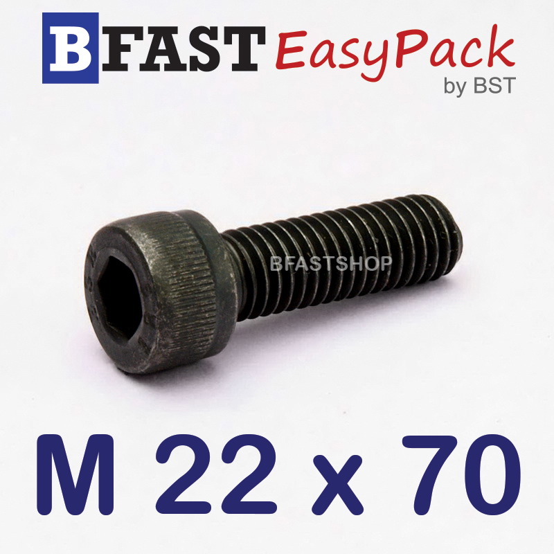 สกรูหัวจมดำ M 22 x 70 *เกลียวตลอด*