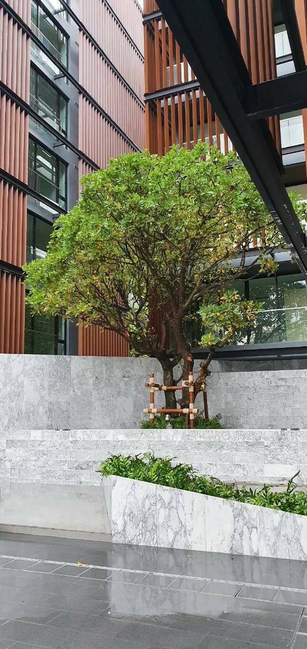 ขาย / เช่า คอนโด Chalermnit Art De Maison (เฉลิมนิจ อาร์ท เดอ เมซง สุขุมวิท 53 ) 1 ห้องนอน 1 ห้องน้ำ 1 ห้องรับแขก