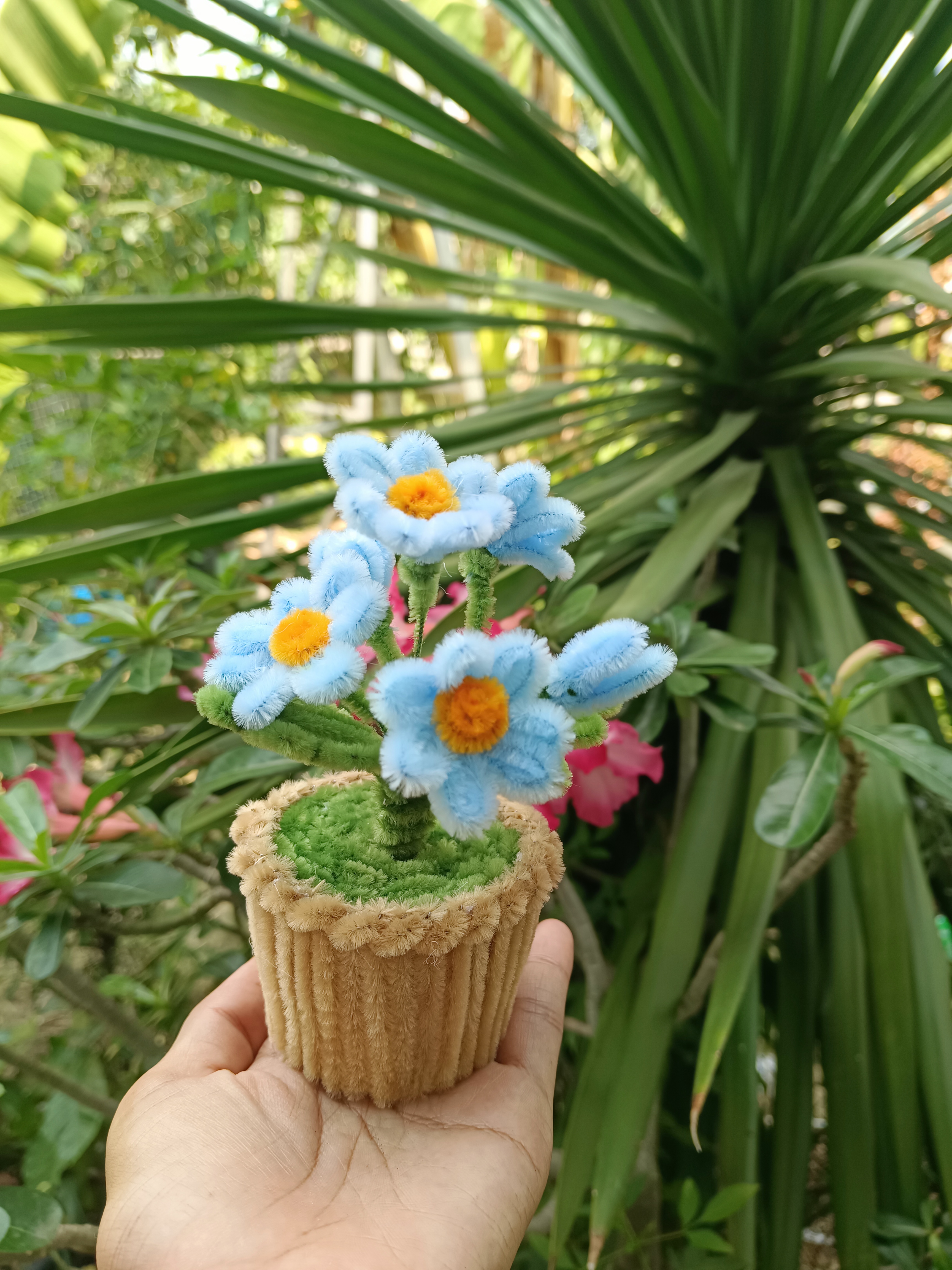 กระถางดอกไม้ ดอกทานตะวัน ดอกทิวลิป