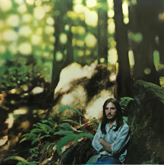 America - Homecoming