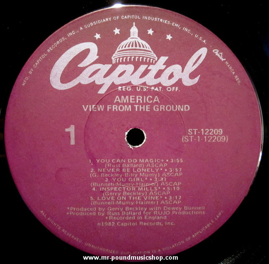 America - View From The Ground