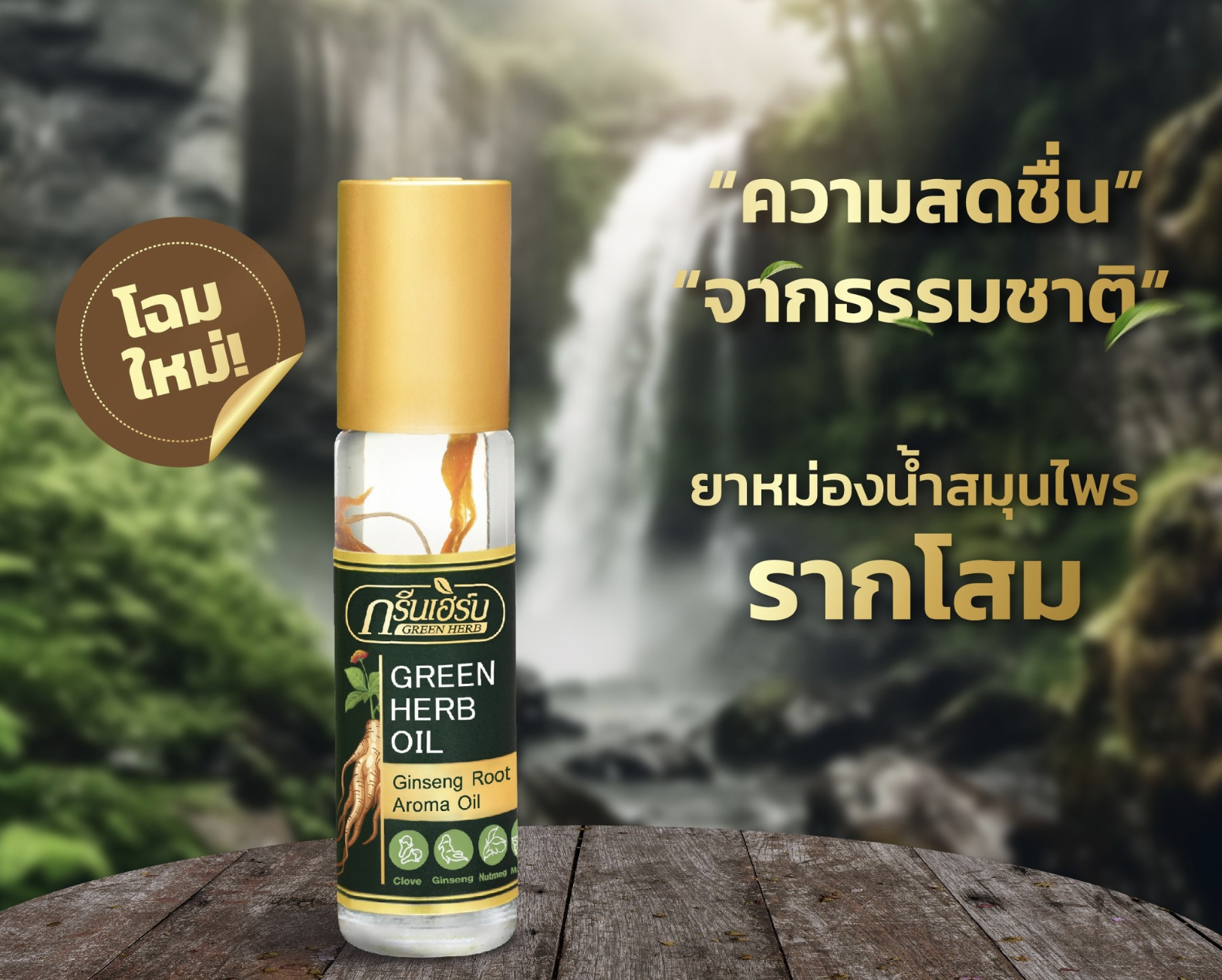 ยาหม่องน้ำสมุนไพรรากโสม กรีนเฮิร์บ (ราคาส่ง 1 โหล)