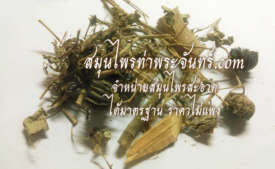 สมุนไพรครอบจักรวาล