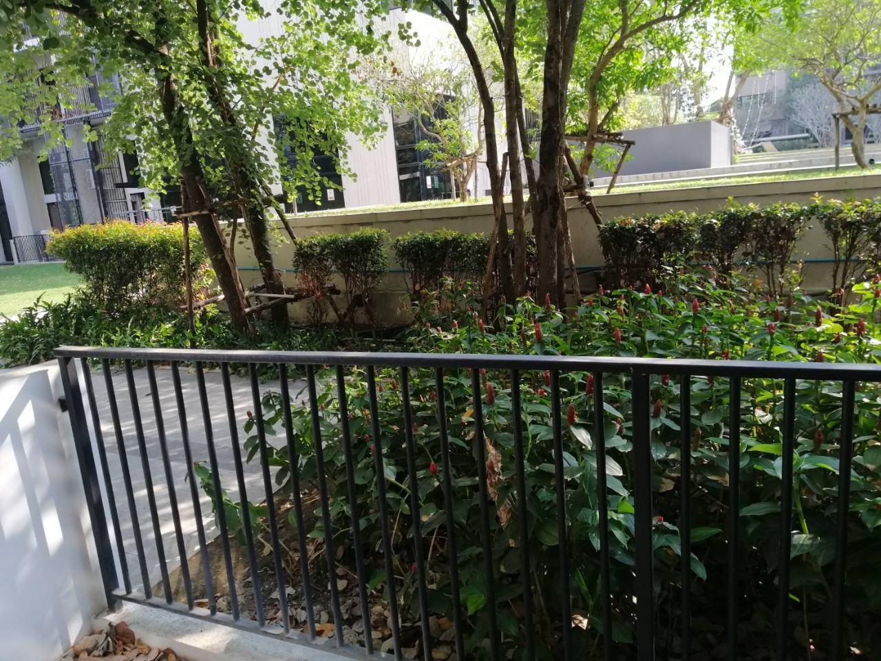 ให้เช่าคอนโด Blossom Condo @ Sathorn - Charoenrat (บลอสซั่ม คอนโด สาทร-เจริญราษฎร์ แบบ 1 ห้องนอน 1 ห้องน้ำ ขนาด30 ตรม อาคาร A