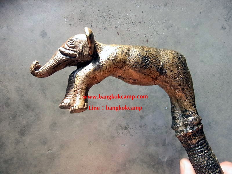 ไม้เท้า ไม้ตะพด หัวช้าง ทองเหลือง