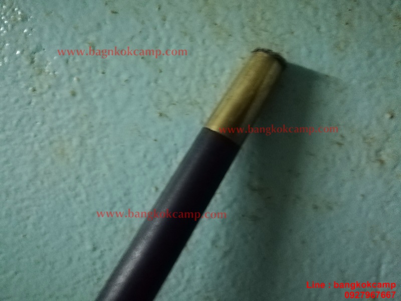 ไม้ตะพด ไม้เท้า หัวทองเหลือง ประดับเหรียญ ร.5 (เหรียญใหญ่)