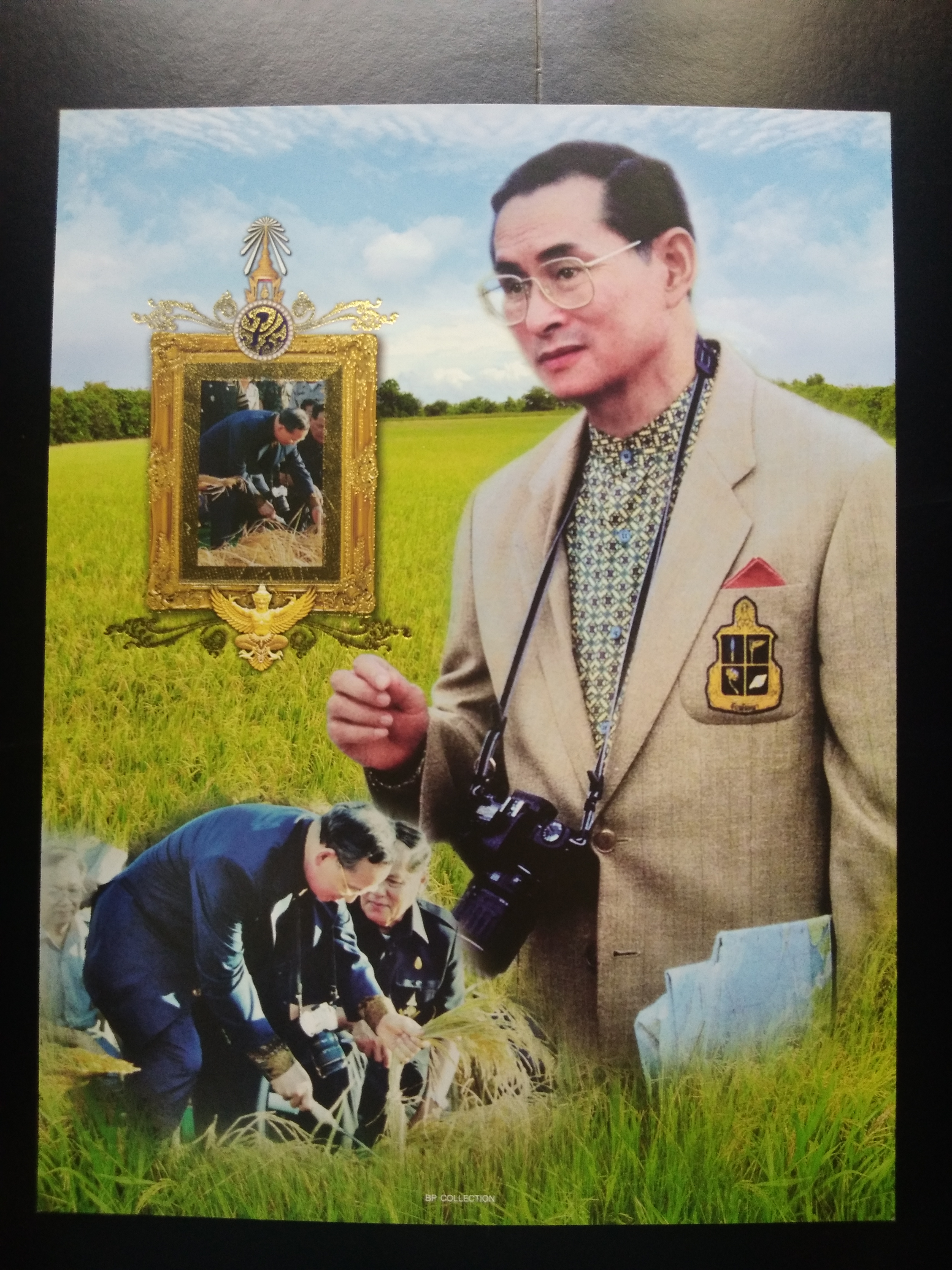 เมาส์ใส่แสตมป์ ชุดข้าวของพ่อ นาข้าว นาขวัญ