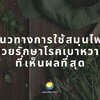 แนวทางการใช้สมุนไพรช่วยรักษาโรคเบาหวานที่เห็นผลที่สุด