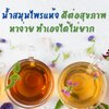 4 น้ำสมุนไพรแห้งดีต่อสุขภาพ หาง่าย ทำเองได้ไม่ยาก