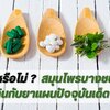 รู้หรือไม่ ? สมุนไพรบางชนิดห้ามกินกับยาแผนปัจจุบันเด็ดขาด
