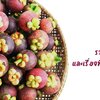 มังคุด ราชินีผลไม้และเรื่องที่ต้องระวัง