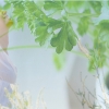 หอมชื่นใจ กับสมุนไพรใช้ทำยาดม