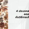 4 ประเภทสมุนไพรลดความดันกับวิธีการเก็บรักษา