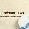 ลดน้ำหนักด้วยสมุนไพร อีกตัวช่วยดี ๆ ที่ปลอดภัยต่อร่างกาย