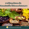 การใช้สมุนไพรมะเร็ง กับผลลัพธ์ที่จะได้รับแบบไม่ธรรมดา