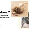 “กวาวเครือขาว” ช่วยได้ ถ้าไม่อยากอยู่กับปัญหา ผมขาดหลุดร่วง ขาวโพลน หัวล้าน